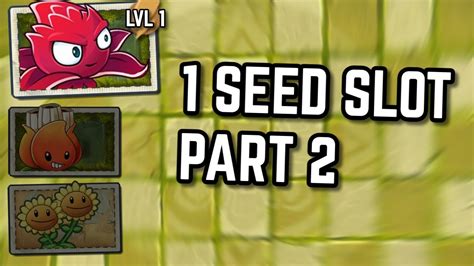 Seed slot .